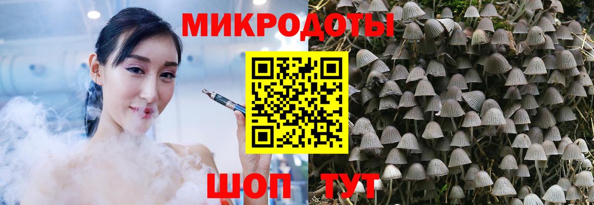 Котовск  Галлюциногенные грибы GOLDEN TEACHER  Галлюциногенные грибы ЛСД  Вход с VPN 