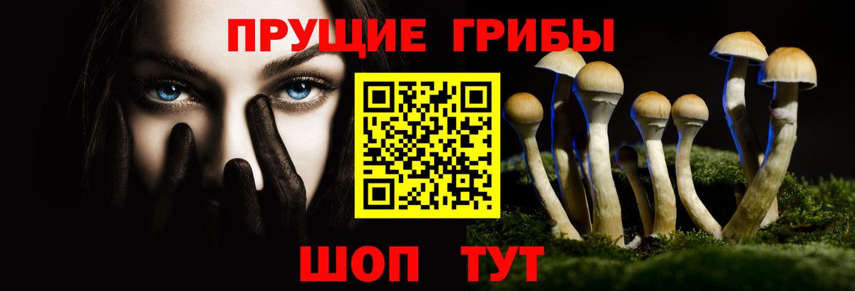 Галлюциногенные грибы MAGIC MUSHROOMS Котовск